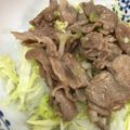 いしまる's cooksnap of when they made 塩不要！！ネギ塩豚丼.