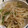 クックDZRR0R☆'s cooksnap of when they made レンジで簡単　もやしとピーマンのナムル.