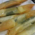ＳＡＫＵＲＡちゃん's cooksnap of when they made ワンタンの皮でチーズ巻き揚げ.