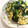 チアコ's cooksnap of when they made 簡単！ほうれん草玉子炒め.
