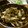 低カロ探検隊's cooksnap of when they made 【常備副菜】きのこ炒めしょう油ver.
