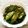 みるめ768's cooksnap of when they made 塩昆布の浅漬け！.