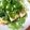 はるるるる♪'s cooksnap of when they made 香ばしい揚げジャコと水菜のお豆腐サラダ★.