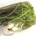 kenyang's cooksnap of when they made 煮ない！ゆでない！わらびのアク抜き方法.