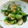 みるくとココア's cooksnap of when they made 超簡単 レタスのコンソメ炒め.