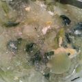 boutiqueEF's cooksnap of when they made 速攻 春雨入り卵スープ.