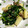 のぶママ☆'s cooksnap of when they made じゃがいもとほうれん草のひき肉炒め.