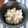 ぽんちょ２ごう's cooksnap of when they made 簡単美味！炊飯器でしらすの炊き込みごはん.