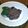 東方朔's cooksnap of when they made ＊本格派牛タンの赤ワイン煮込み＊.