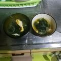 ミ～ニャン's cooksnap of when they made 簡単！春雨のコンソメスープ.