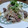 クリーピングタイム☆'s cooksnap of when they made ブタハツのもやしとにんにく炒め.