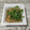 めぐ＊ぴぃ's cooksnap of when they made あと一品に簡単♡豆苗の納豆和え.