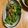 クックFJ5BNF☆'s cooksnap of when they made 【作りおき】えのピー塩昆布バター炒め.