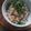 ふか谷's cooksnap of when they made 秋味✿舞茸＆しめじと鮭の炊き込みご飯♡.