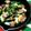さかいみゆ's cooksnap of when they made 砂肝とエリンギとにらの簡単おつまみ♪.