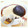 RIKOTORA's cooksnap of when they made 簡単☆寒天de和風デザート☆ダイエット.