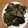 クックOXY9HX☆'s cooksnap of when they made ☆スタッフド　ピーマン☆お弁当にもっ♪.