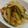 おんかめ's cooksnap of when they made トロトロ*ズッキーニと玉ねぎのソテー.
