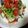 クックK79BAN☆'s cooksnap of when they made 簡単！タコライス♡.