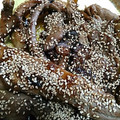 ナル金's cooksnap of when they made 安い！マグロのアラの焼肉のタレ焼き.