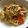 ひよこ★な's cooksnap of when they made 焼きうどん☆ランチにも.