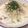 ハンドメイド好き♡'s cooksnap of when they made 簡単☆しめじとベーコンのクリームパスタ.
