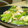 まるまるなつ's cooksnap of when they made ☆海老と野菜の旨塩炒め☆.