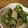 クックDEEB7P☆'s cooksnap of when they made 鶏もも肉とブロッコリーの練りゴマ煮.