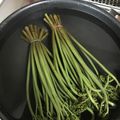 うり君のママ's cooksnap of when they made わらびのアク抜き.