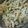 ☆ゆかねえさん☆'s cooksnap of when they made ツナと枝豆のマカロニサラダ.