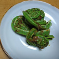 むらさめもんがら's cooksnap of when they made こごみの、ほんだしかつお節一夜漬け.