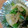 くいむし's cooksnap of when they made ピーマンと玉ねぎとしらすのめんつゆ炒め☆.