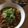 チッビ's cooksnap of when they made リメイク♡お玉で計量♪和風カレーうどん☆.