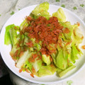 Jyohana's cooksnap of when they made 簡単！春キャベツとアミエビのさっと炒め.