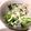 haruao☆'s cooksnap of when they made 簡単！ブロッコリーとしらすのホットサラダ.
