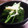 なち☆★'s cooksnap of when they made あと一品に♪ワカメの美味しい簡単小鉢♬.