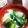 牛乳育ち's cooksnap of when they made たけのこ☆お味噌汁.