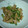 じゃんくみ's cooksnap of when they made 豚肉とゴーヤ★カレーマヨ炒め.
