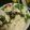 えま（料理特訓中）'s cooksnap of when they made ☆簡単☆豆腐と水菜サラダ.