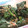 mfmf508's cooksnap of when they made 基本のほうれん草のおひたし♪.
