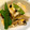 クックGSZT2F☆'s cooksnap of when they made さやえんどうと高野豆腐のたまごとじ♪.