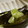 maruru-nn's cooksnap of when they made 茄子の煮浸し.