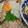 みゆwaco 's cooksnap of when they made 簡単☆イカ刺しの作り方.
