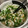 しゅんのいちごまま's cooksnap of when they made 簡単！ピーマンとちくわのごま油和え.