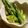 maruru-nn's cooksnap of when they made アスパラガスのバター炒め.