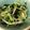 yayo34's cooksnap of when they made 根三つ葉の海苔わさび和え.