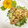 減塩パパ's cooksnap of when they made 鶏ささみの甘辛煮、ナスタチウム添え.