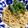 ＊piro＊'s cooksnap of when they made ボウルで和えるだけ！の絶品♡納豆パスタ♡.