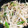 クック26352G☆'s cooksnap of when they made 簡単☆鶏のネギ塩炒め.