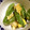 心の空's cooksnap of when they made スナップエンドウの和風卵とじ.
